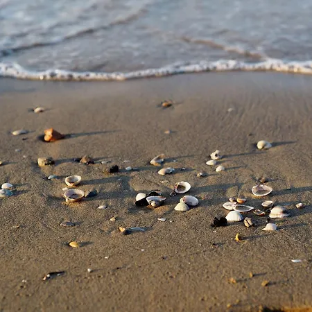 Cozy With Terrace And Shared Pool * Бибионе